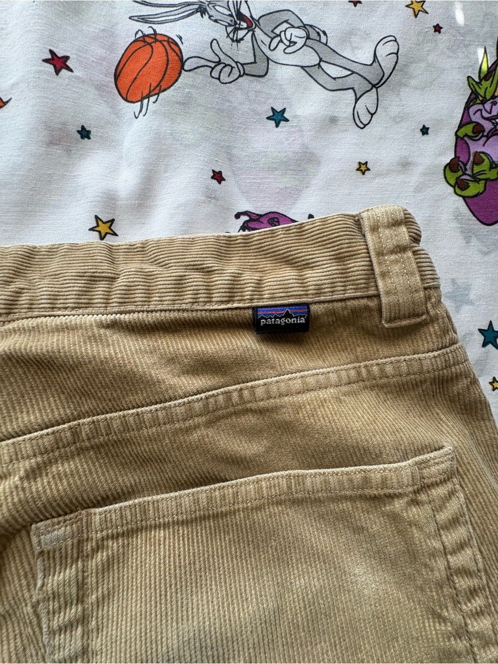 Patagonia Men's Beige Corduroy Pants - Picture 3 of 6